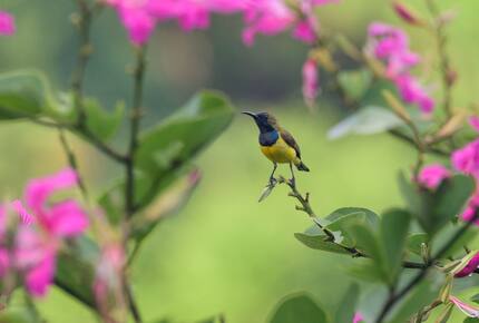 Grand Double Suite #4 at Amori Villa - Ubud, Indonesia