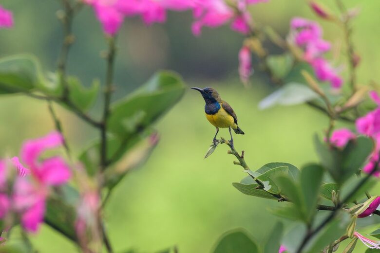 Grand Double Suite #4 at Amori Villa - Ubud, Indonesia