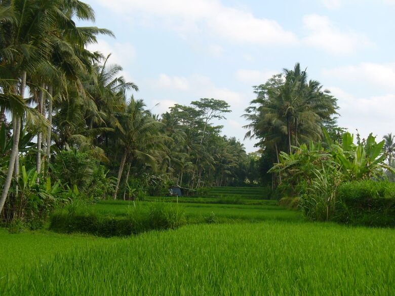 Grand Double Suite #4 at Amori Villa - Ubud, Indonesia