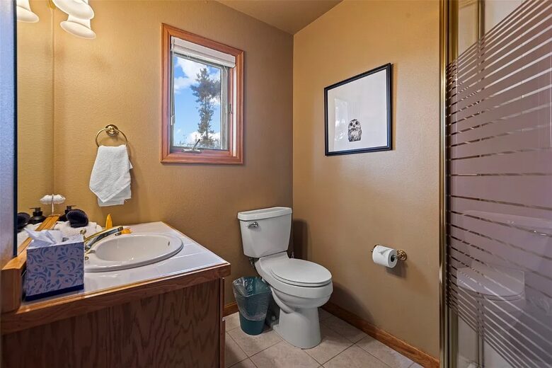 Silverthorne Sanctuary with Buffalo Mountain Views - Silverthorne, Colorado