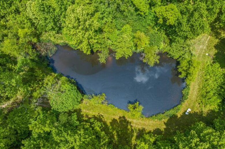 Tennessee Countryside Haven with Expansive Views & Modern Comforts - Franklin, Tennessee