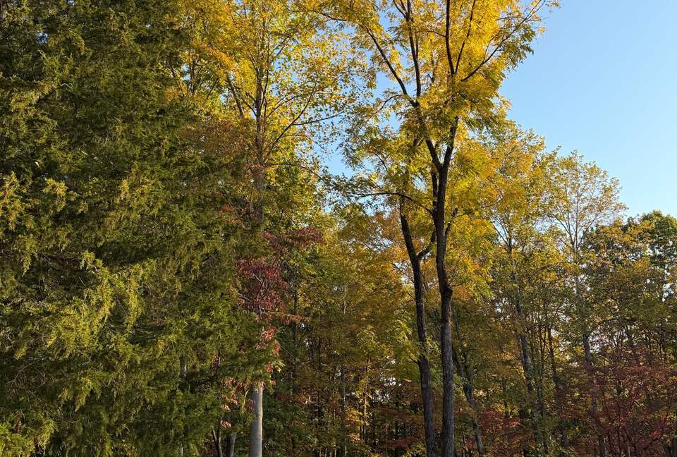 Tennessee Countryside Haven with Expansive Views & Modern Comforts - Franklin, Tennessee