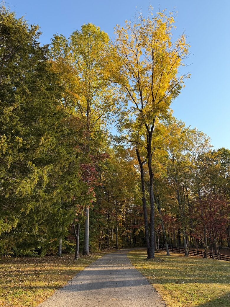 Tennessee Countryside Haven with Expansive Views & Modern Comforts - Franklin, Tennessee