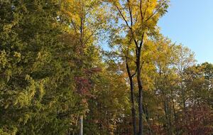 Tennessee Countryside Haven with Expansive Views & Modern Comforts - Franklin, Tennessee