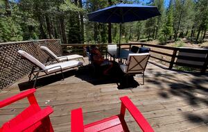 Sleeping Bear Cabin | Forest View Mountain Retreat in Truckee - Truckee, California
