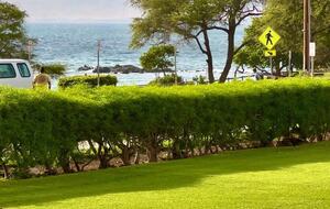 Sunset Haven at Hale Kamaole - Kihei, United States