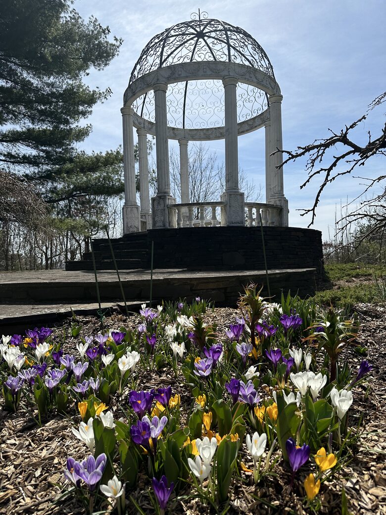 Easter's First Blooms at the Estate and Late April Exclusive Tulip Extravaganza - Woodstock, New York
