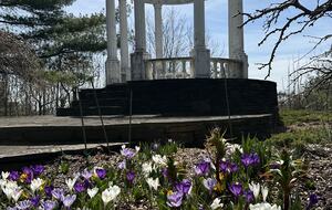 Easter's First Blooms at the Estate and Late April Exclusive Tulip Extravaganza - Woodstock, New York