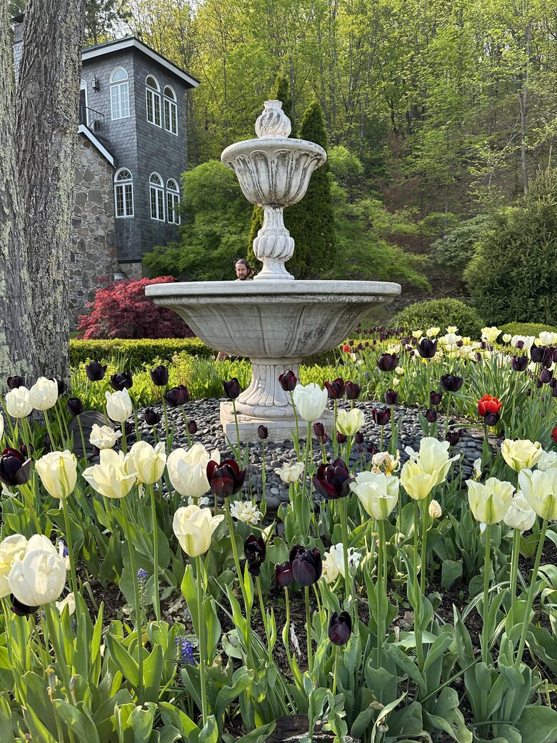Easter's First Blooms at the Estate and Late April Exclusive Tulip Extravaganza - Woodstock, New York
