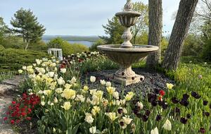 Easter's First Blooms at the Estate and Late April Exclusive Tulip Extravaganza - Woodstock, New York