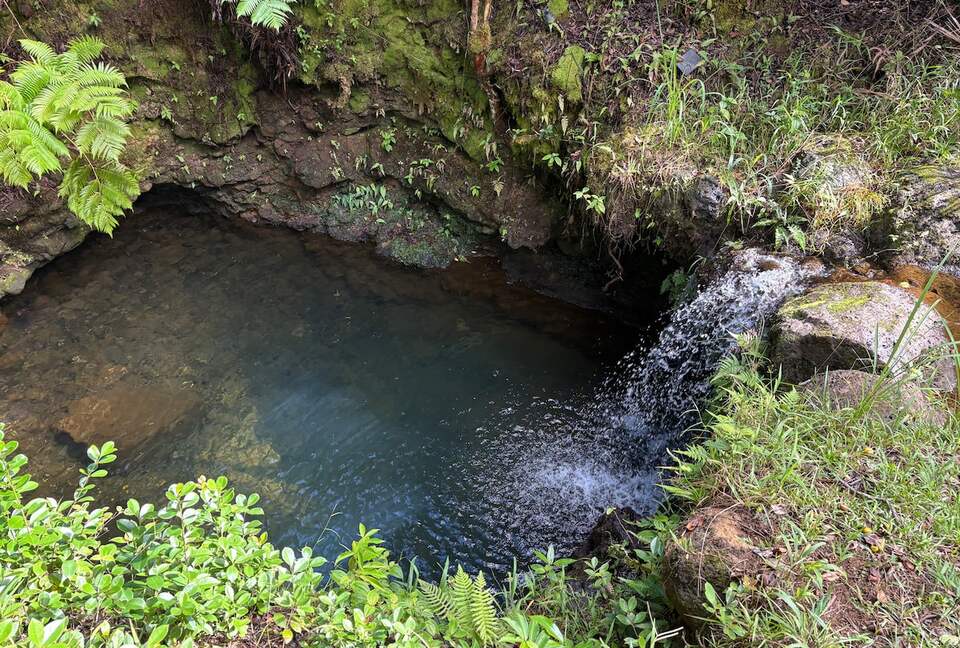Spring-Fed Serenity | Off-Grid Luxury on the Hāmākua Coast - Hakalau, Hawaii