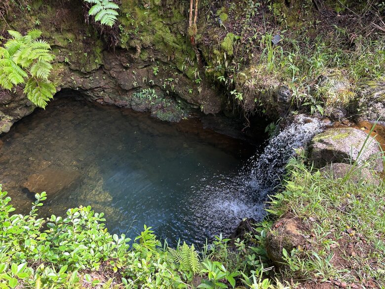 Spring-Fed Serenity | Off-Grid Luxury on the Hāmākua Coast - Hakalau, Hawaii