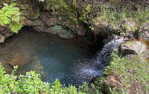 Spring-Fed Serenity | Off-Grid Luxury on the Hāmākua Coast - Hakalau, Hawaii