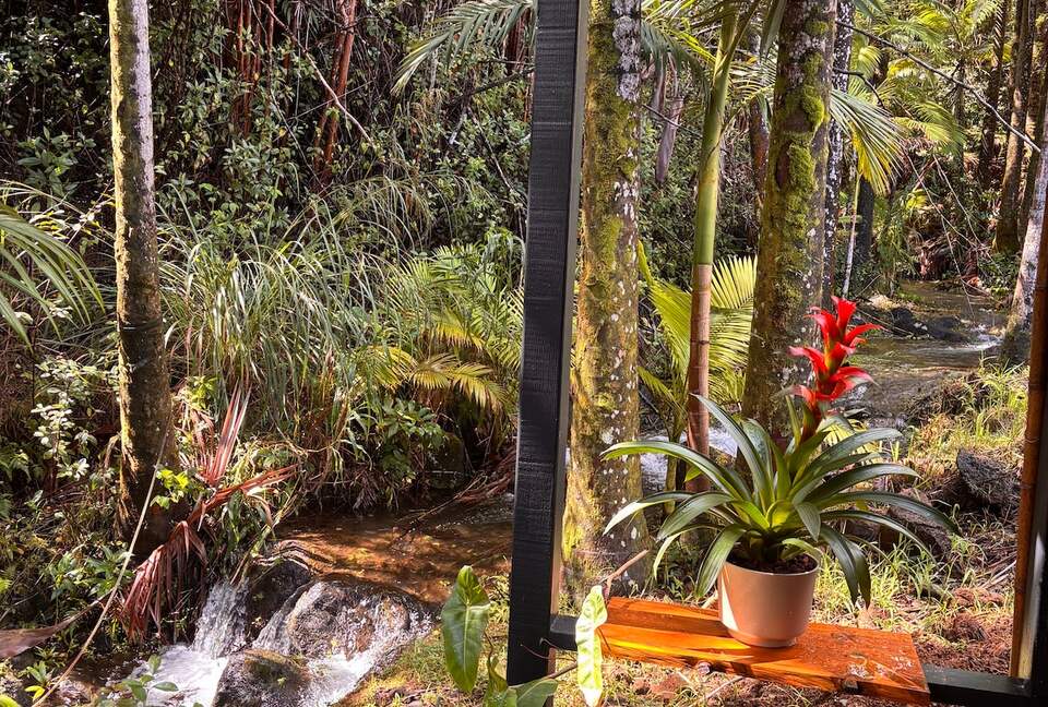 Spring-Fed Serenity | Off-Grid Luxury on the Hāmākua Coast - Hakalau, Hawaii
