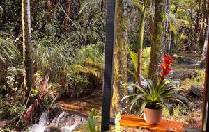 Spring-Fed Serenity | Off-Grid Luxury on the Hāmākua Coast - Hakalau, Hawaii