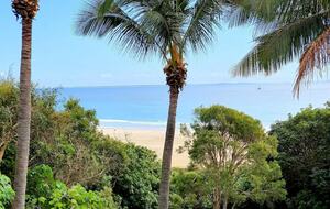 Luxury on Cylinder Beach - Point Lookout, Australia