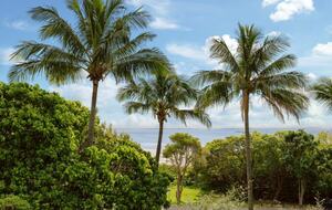 Luxury on Cylinder Beach - Point Lookout, Australia