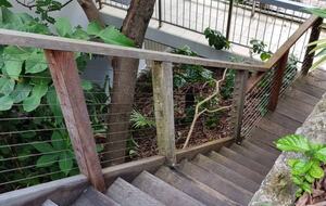 Luxury on Cylinder Beach - Point Lookout, Australia