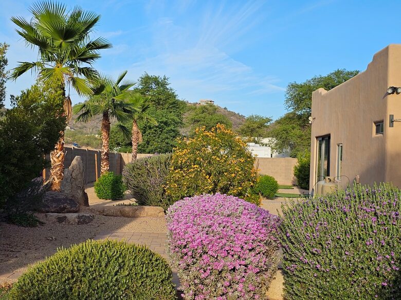 Luxury Desert Ranch Oasis Retreat - Phoenix, Arizona