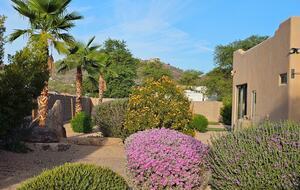 Luxury Desert Ranch Oasis Retreat - Phoenix, Arizona
