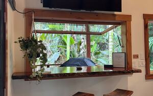 Spring-Fed Serenity | Off-Grid Luxury on the Hāmākua Coast - Hakalau, Hawaii