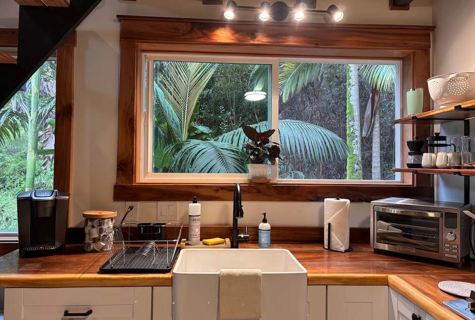 Spring-Fed Serenity | Off-Grid Luxury on the Hāmākua Coast - Hakalau, Hawaii