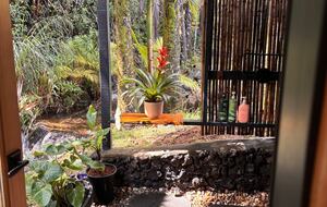 Spring-Fed Serenity | Off-Grid Luxury on the Hāmākua Coast - Hakalau, Hawaii