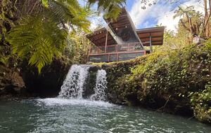 Spring-Fed Serenity | Off-Grid Luxury on the Hāmākua Coast - Hakalau, Hawaii