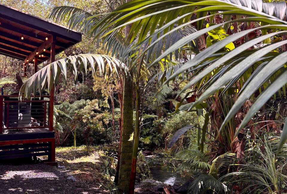 Spring-Fed Serenity | Off-Grid Luxury on the Hāmākua Coast - Hakalau, Hawaii