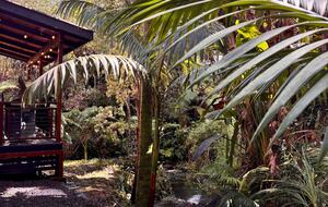 Spring-Fed Serenity | Off-Grid Luxury on the Hāmākua Coast - Hakalau, Hawaii