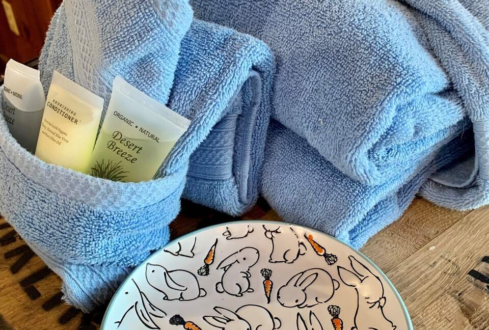 What If Cabin | Scenic Mountain Retreat with Panoramic Views - Blue Ridge, Georgia