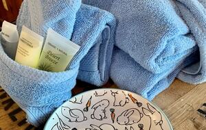 What If Cabin | Scenic Mountain Retreat with Panoramic Views - Blue Ridge, Georgia