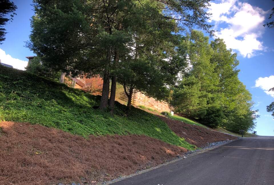 What If Cabin | Scenic Mountain Retreat with Panoramic Views - Blue Ridge, Georgia