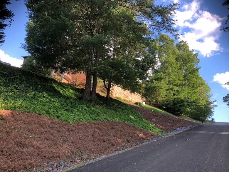 What If Cabin | Scenic Mountain Retreat with Panoramic Views - Blue Ridge, Georgia