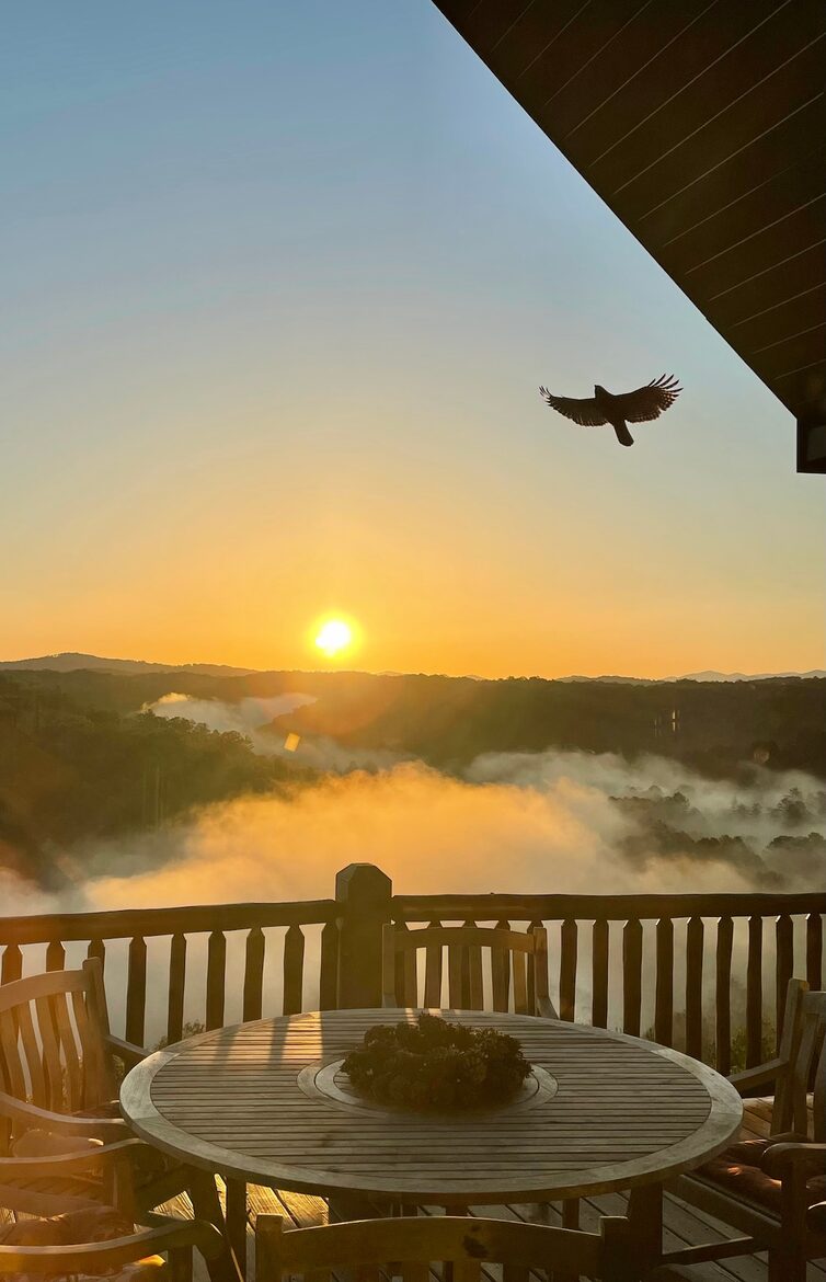 What If Cabin | Scenic Mountain Retreat with Panoramic Views - Blue Ridge, Georgia