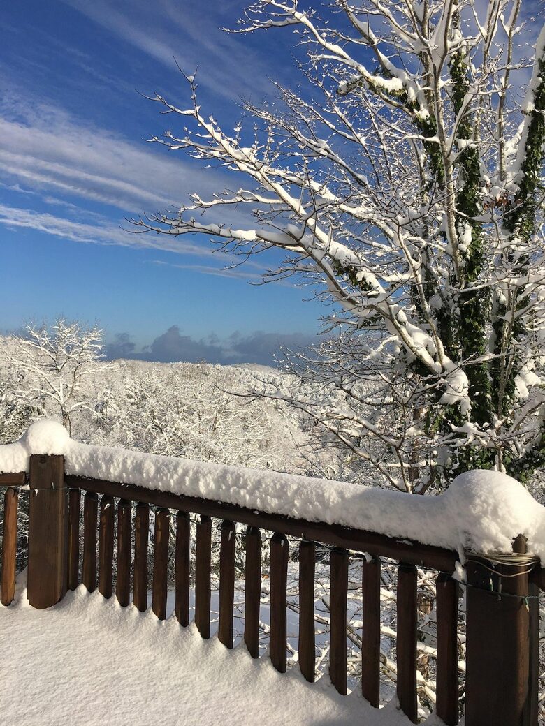 What If Cabin | Scenic Mountain Retreat with Panoramic Views - Blue Ridge, Georgia