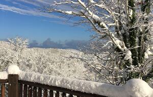 What If Cabin | Scenic Mountain Retreat with Panoramic Views - Blue Ridge, Georgia