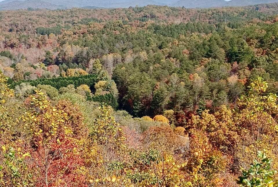What If Cabin | Scenic Mountain Retreat with Panoramic Views - Blue Ridge, Georgia