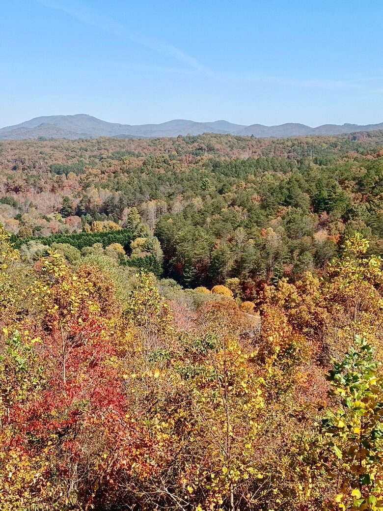 What If Cabin | Scenic Mountain Retreat with Panoramic Views - Blue Ridge, Georgia