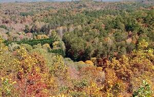 What If Cabin | Scenic Mountain Retreat with Panoramic Views - Blue Ridge, Georgia