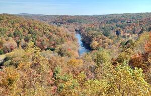 What If Cabin | Scenic Mountain Retreat with Panoramic Views - Blue Ridge, Georgia
