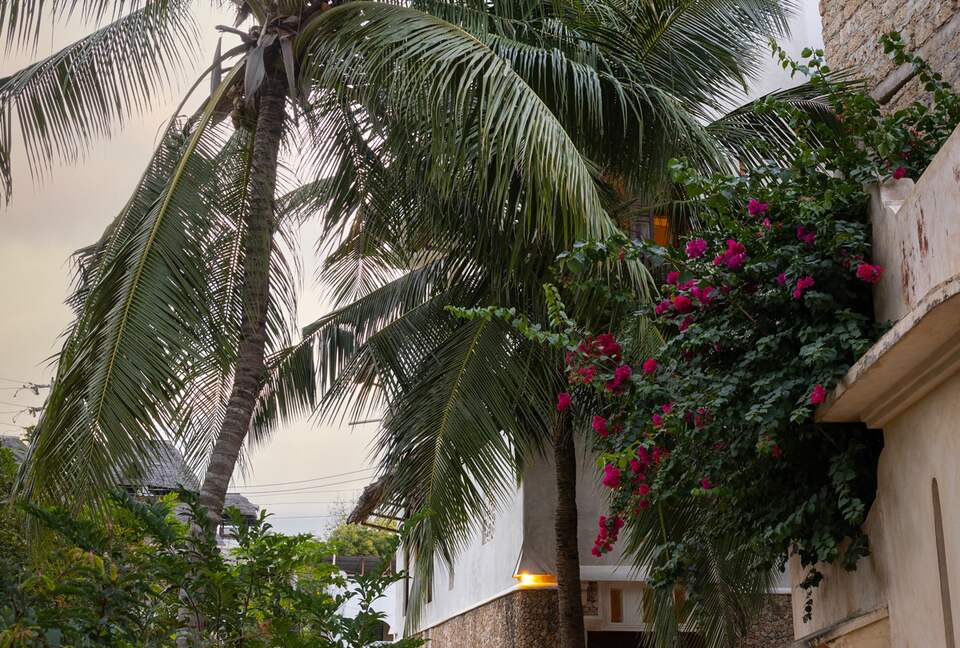 Makuti Horizon House on the Shores of Lamu - Lamu Island, Kenya