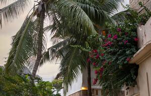 Makuti Horizon House on the Shores of Lamu - Lamu Island, Kenya