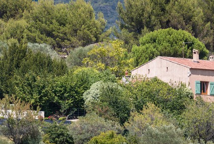 Beautiful French Farmhouse in Provence - Aups, France