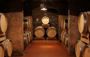 A Room in a 17th-Century Masseria - San Severo, Italy