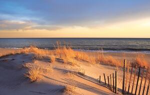 Hamptons - Montauk Luxury Modern Oasis, Walking Distance to Private Beach - Montauk, New York