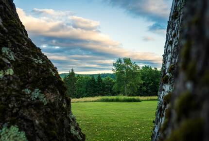 Meadowview Vermont Retreat - Wilmington, Vermont