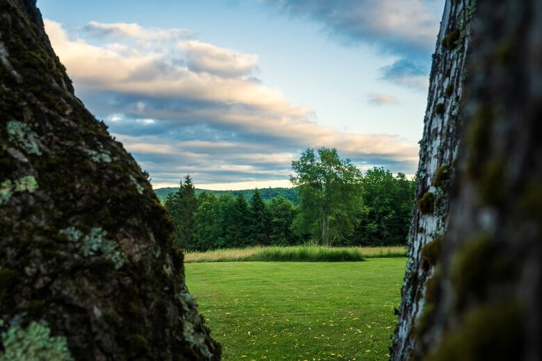 Meadowview Vermont Retreat - Wilmington, Vermont