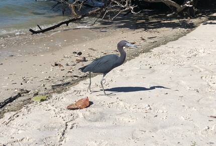 Jupiter Beach Comfort - Jupiter, Florida