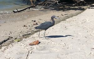 Jupiter Beach Comfort - Jupiter, Florida